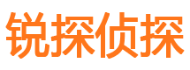 新河侦探公司